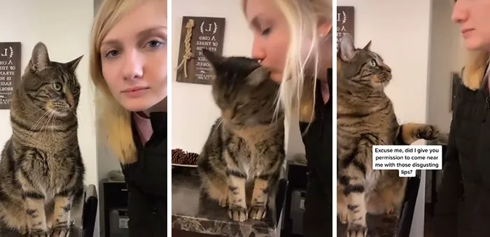 Estos dueños observaron las reacciones de sus mascotas tras darles un beso inesperado (45 fotos)