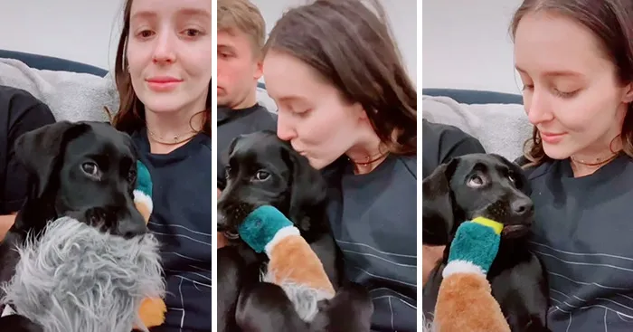 Estos dueños observaron las reacciones de sus mascotas tras darles un beso inesperado (45 fotos)