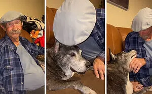 Owners Wanted To See The Reactions Of Their Pets After They Get Unexpected Kisses (45 Pics)
