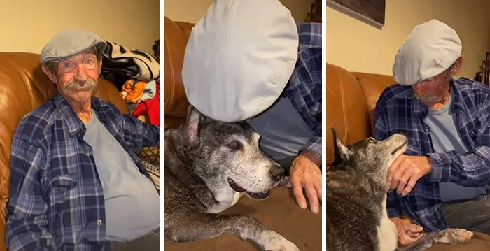 Estos dueños observaron las reacciones de sus mascotas tras darles un beso inesperado (45 fotos)