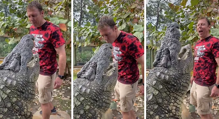 Estos dueños observaron las reacciones de sus mascotas tras darles un beso inesperado (45 fotos)
