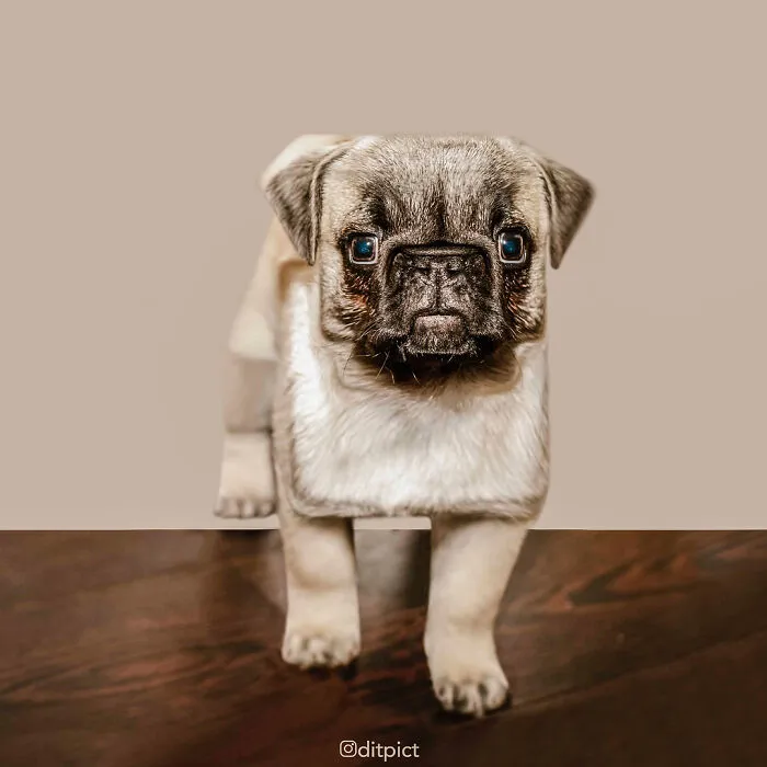 Artist Changes Animals To Be Shaped Like Cubes (24 New Pics)
