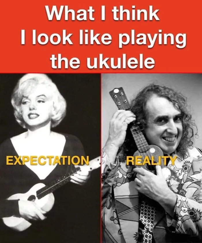 Took Up Ukulele