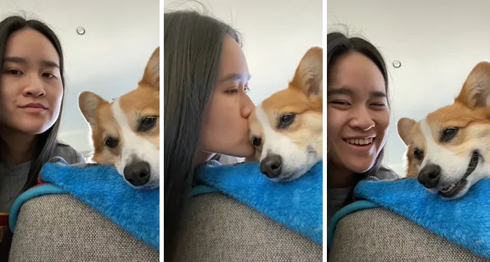Estos dueños observaron las reacciones de sus mascotas tras darles un beso inesperado (45 fotos)