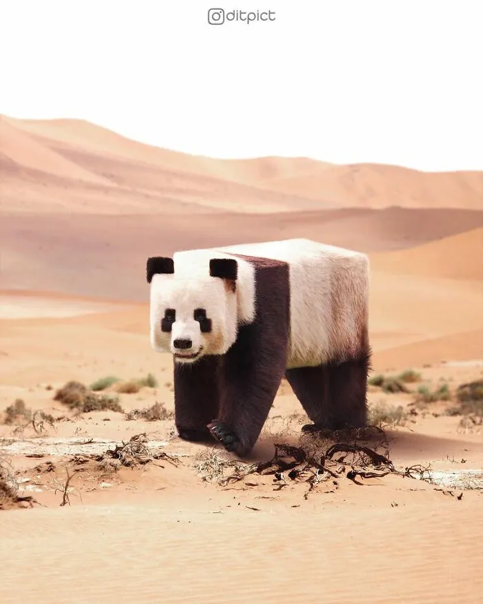 Artist Changes Animals To Be Shaped Like Cubes (24 New Pics)