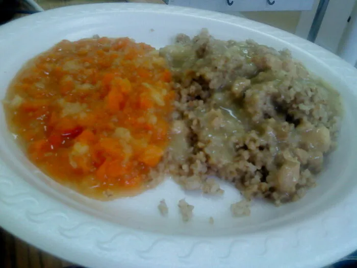 Groats With Vomit, From My Stay At A Polish Hospital
