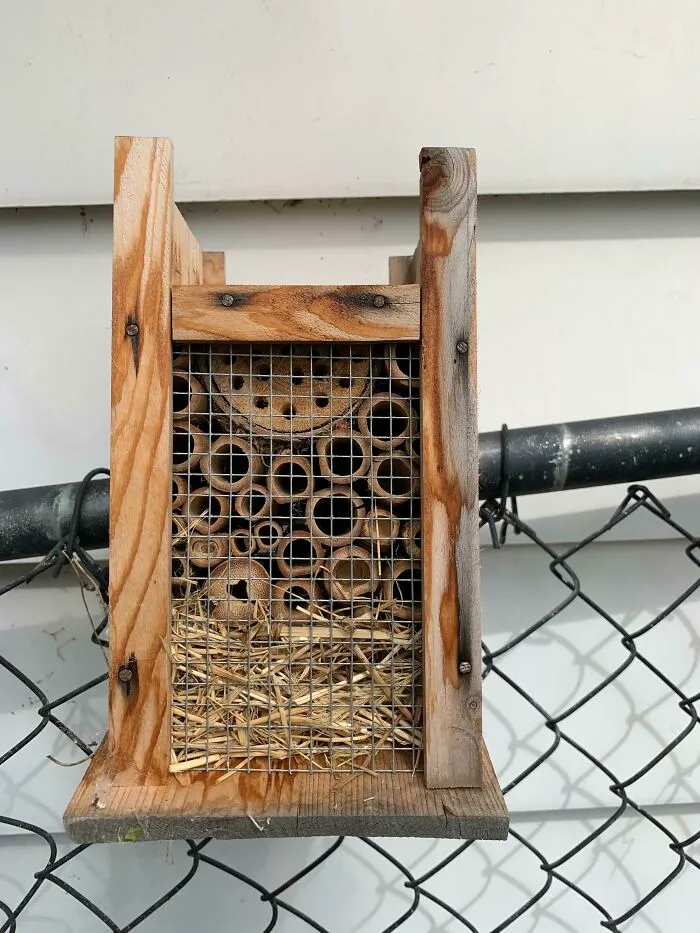 It’s Upside But Looks To Be A Feeder Or Nester Of Some Sort, Attached To The Top Of The Fence By Previous Owner. What Is This Thing?