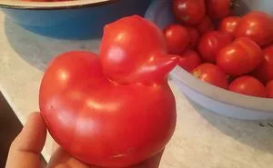50 Times People Spotted Pareidolia In These Vegetables And Fruits And Just Had To Take A Pic