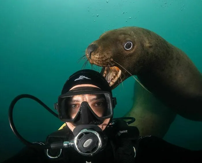 Perfect Photobomb
