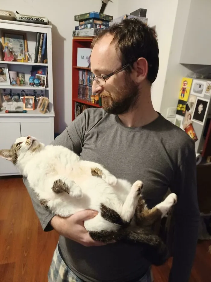 I Took This Picture Of My BF And My Cat Today, We Can't Stop Laughing Since