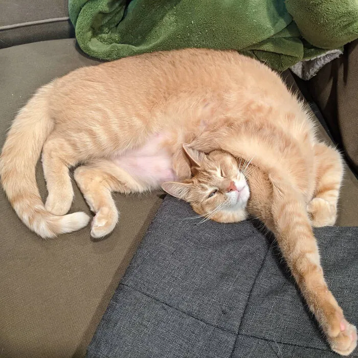 We Call This "The Figure 8"