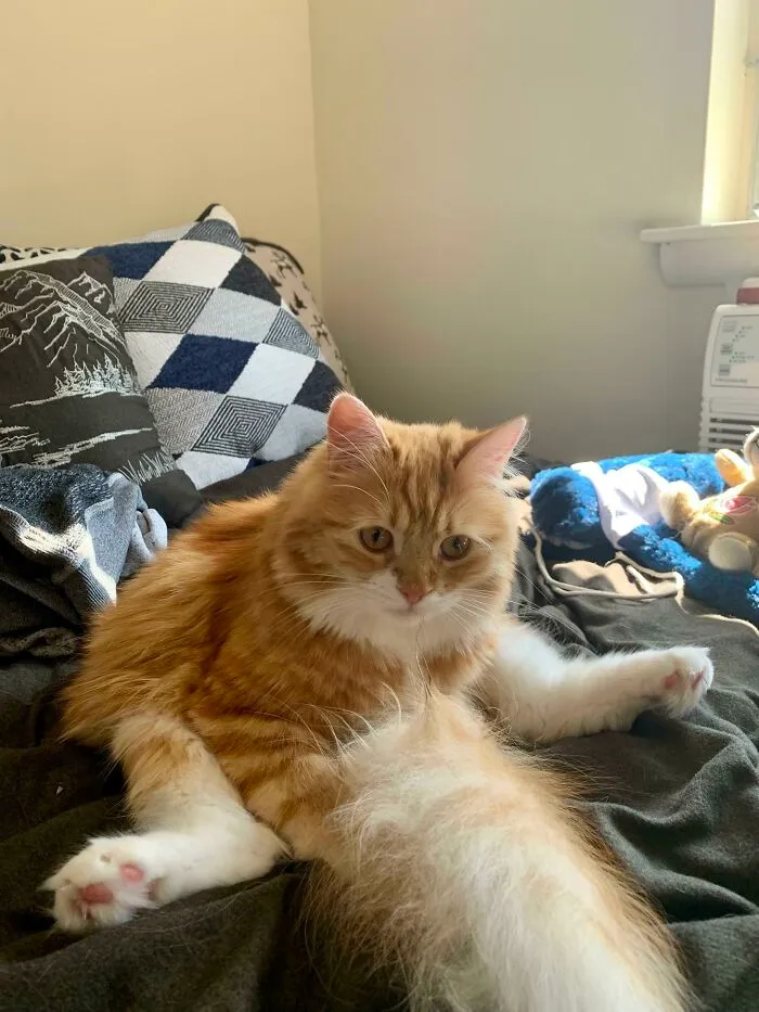 “Sit Like A Lady!”  “No”