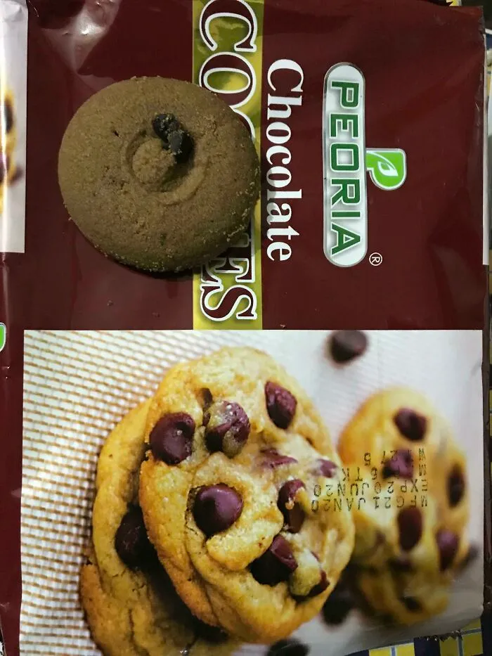 Scam Level 100
