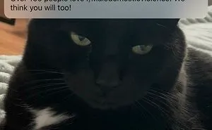 This Group Is Dedicated To Unintentionally Funny Pics And Here Are 50 Of Their Funniest Posts