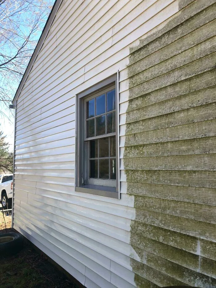 Nunca pensé que mi nueva casa fuera blanca