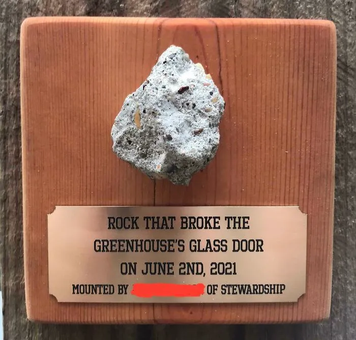 I Work At A Nature Preserve. A Lawnmower Launched A Rock That Shattered The Greenhouse’s Glass Door. So I Mounted It On A Plaque In The Greenhouse