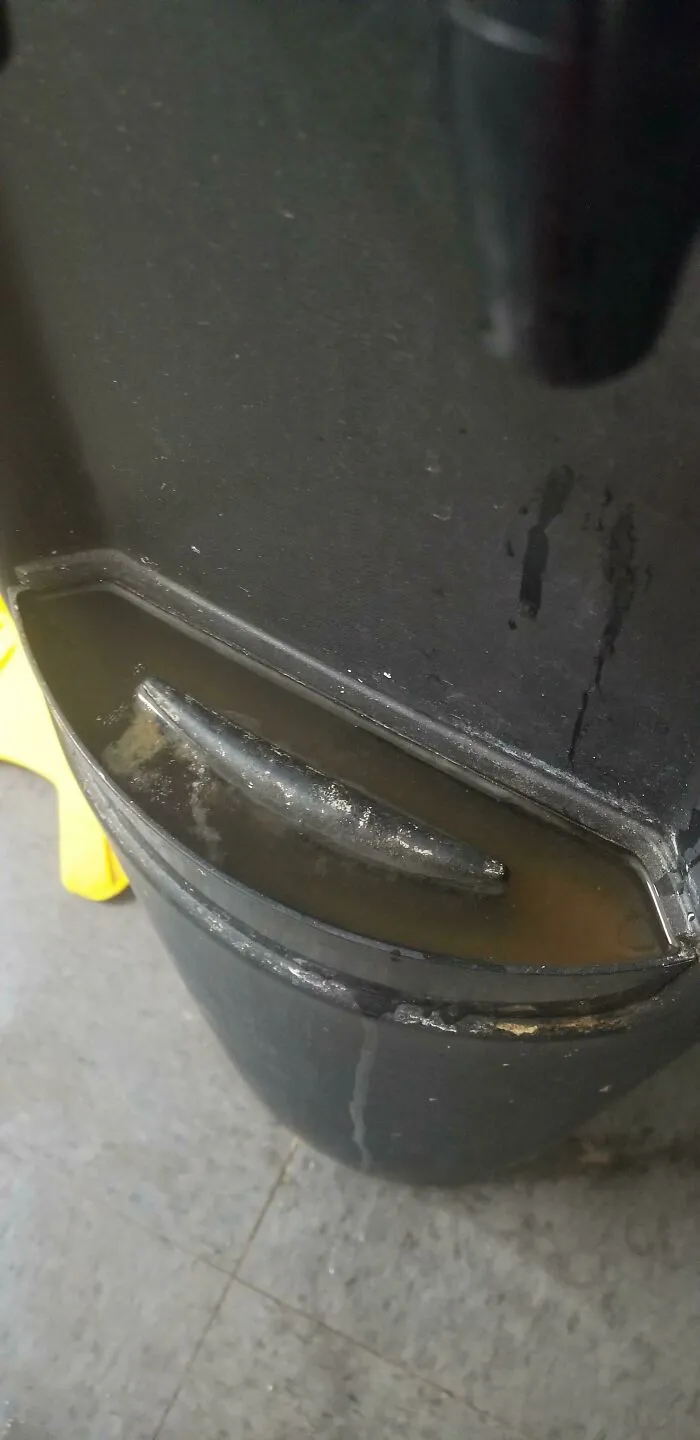 Ah sí, las algas y el agua estancada en el refrigerador de agua