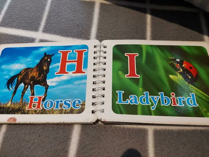 Thinking Of An "I" Animal Was Too Hard