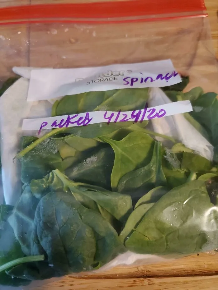 Por fin he descubierto cómo prolongar la vida de mis espinacas frescas para evitar que se desperdicien y disfrutarlas durante más tiempo. Transferir a una bolsa con cierre después de la compra e insertar una toalla de papel doblada reduce la humedad que se acumula en la bolsa original. Siguen siendo frescas semanas después en lugar de estropearse en una semana