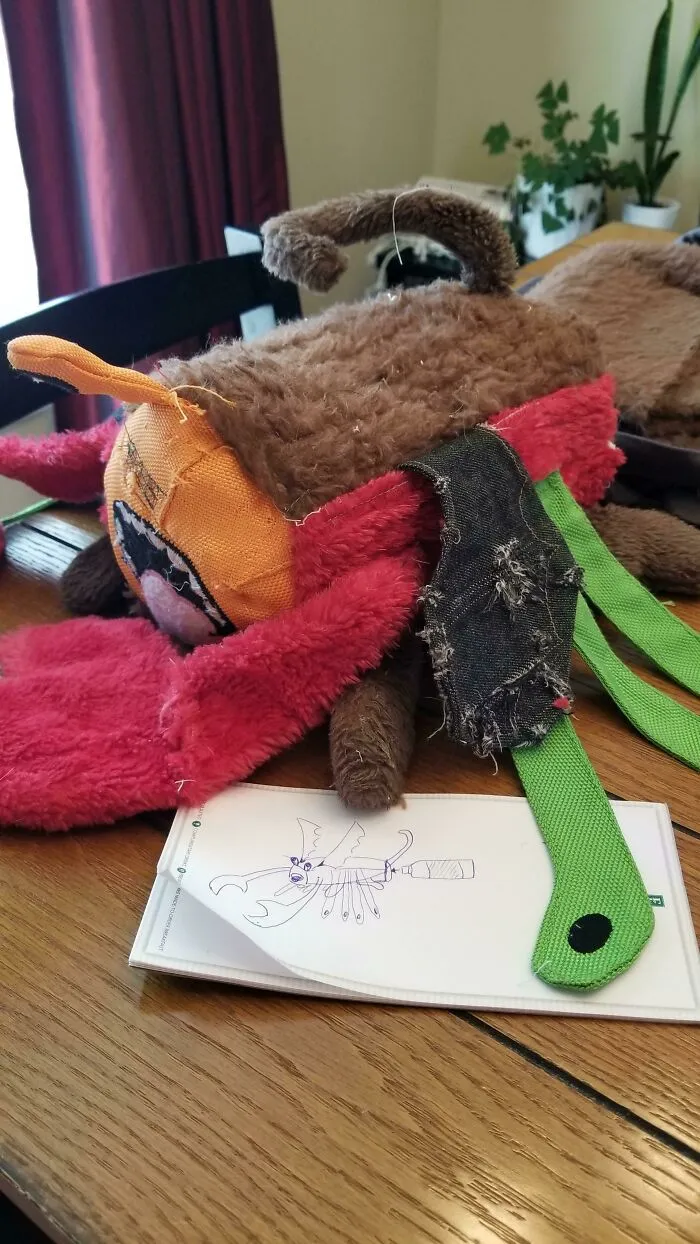Consejo para mascotas (contenido original): guarda todas las partes aprovechables de los juguetes rotos de tu perro, compra algunos repuestos que hagan pitidos, y ¡crea un nuevo juguete frankestein!