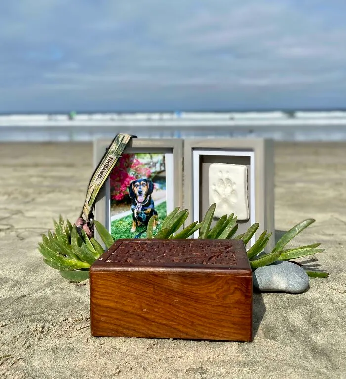 He mantenido mi promesa de llevarla a la playa después de tener que cancelarlo el año pasado por la pandemia