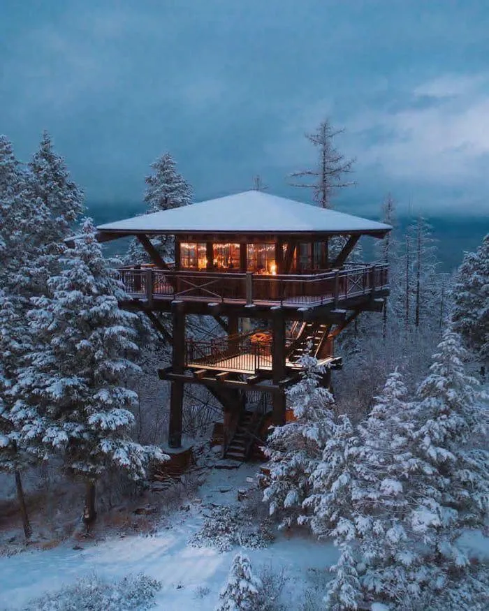 Winter Tree Cabin