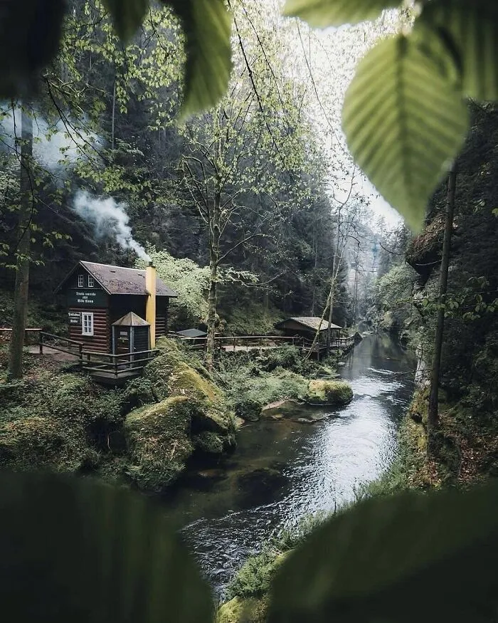 In The Woods