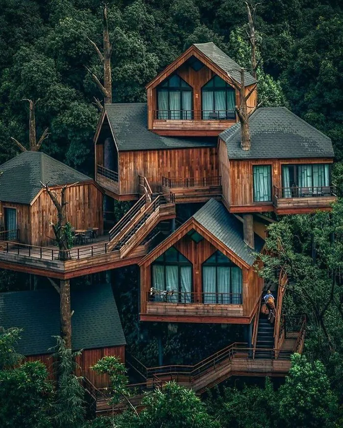Modern Treehouse Cabin In Hangzhou, China