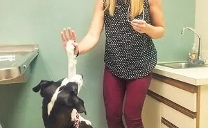 50 Times Vets Encountered The Cutest Pets At Work And Just Had To Take A Picture