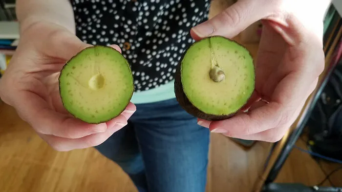 This Is The Smallest Pit I've Ever Seen In An Avocado