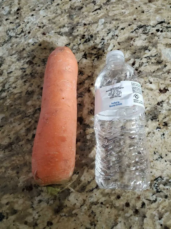 We Ordered A Pound Of Carrots. We Got A Pound Of Carrot