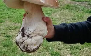50 Times People Absolutely Won The Food Lottery