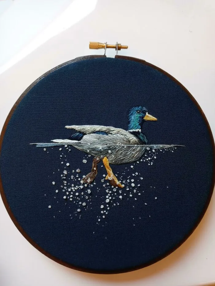 Duck