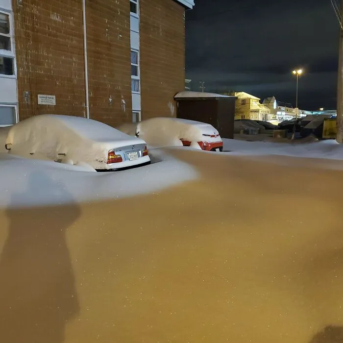 Two cars nearly buried in deep snow in a parking lot at night, showing nature made people go well that sucks moments.