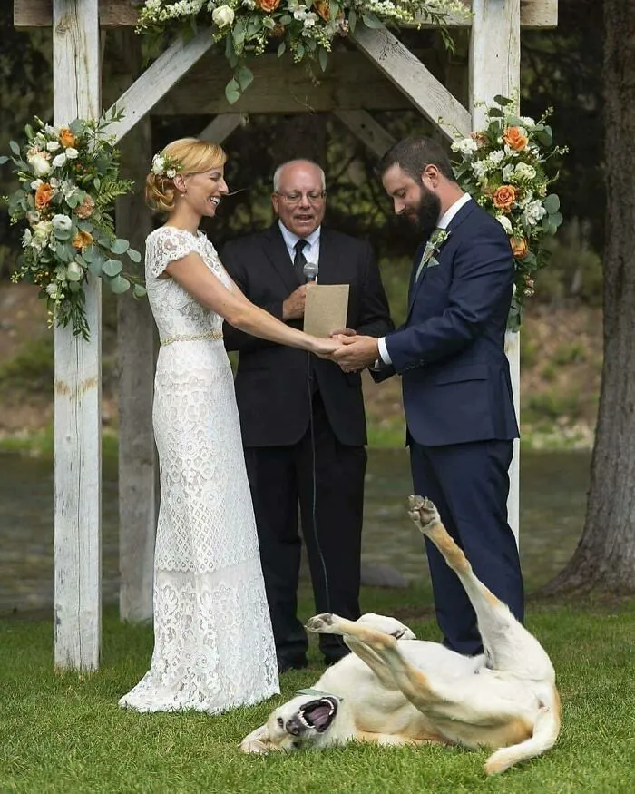 Alguien no está tomándose la boda muy en serio 
