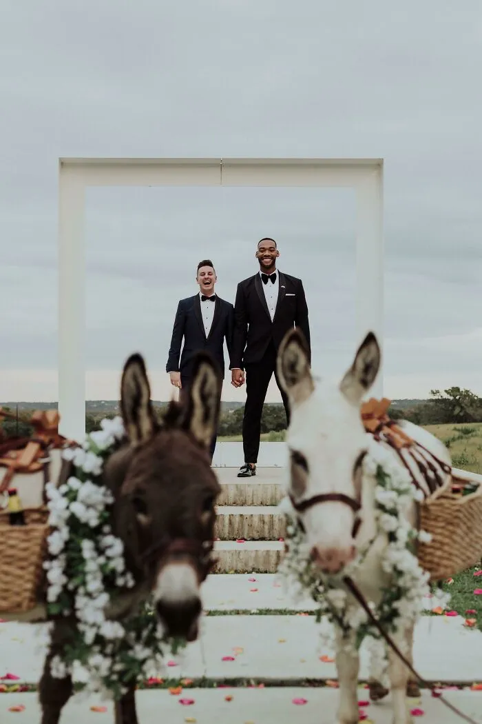 Los burros que acarreaban cerveza en nuestra boda también quisieron ser parte de la foto 