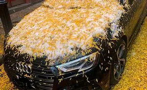 50 Times Nature Made People Go "Well, That Sucks"