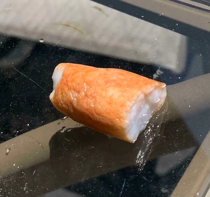 Landscaping Stone I Found That Looks Exactly Like A Hunk Of Crab Leg Meat