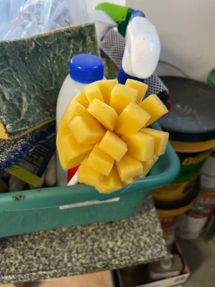 Forbidden Mango