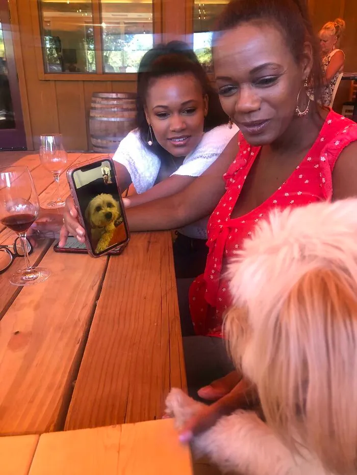 Nos sentamos junto a estas señoras que insistieron en que nuestro perro hiciera Facetime con el suyo