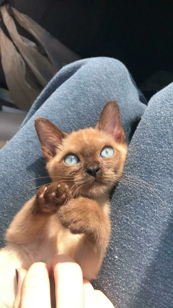 Just Got This Little Guy! What Should I Name Him?