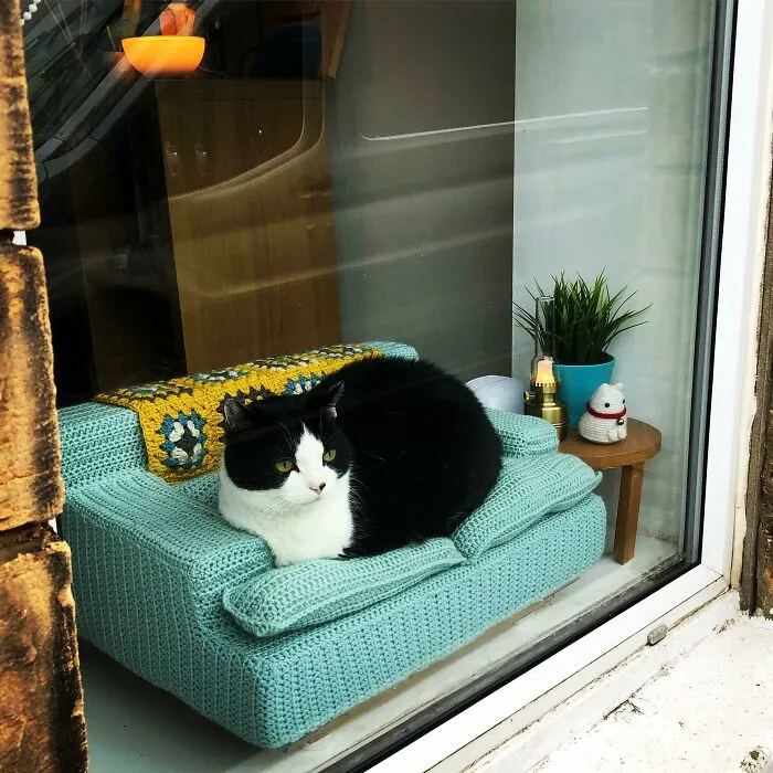 I Made My Old Girl A Sofa, To People Watch From
