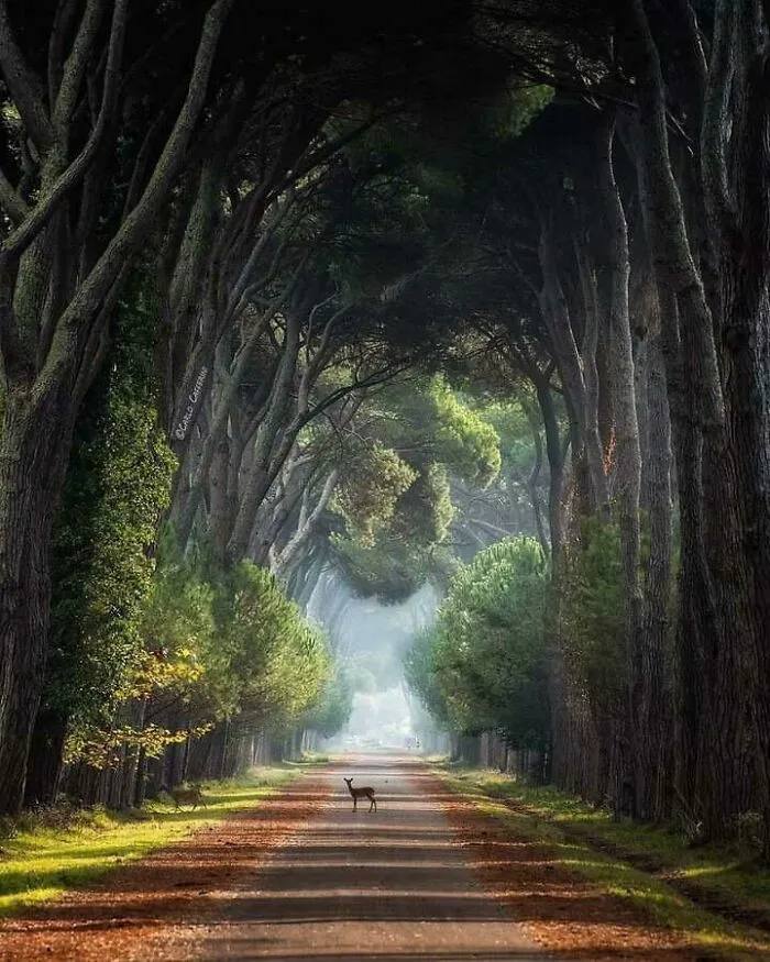 National Park In Italy