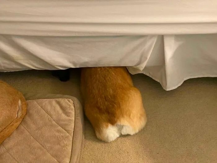 Forbidden Loaf Of Bread