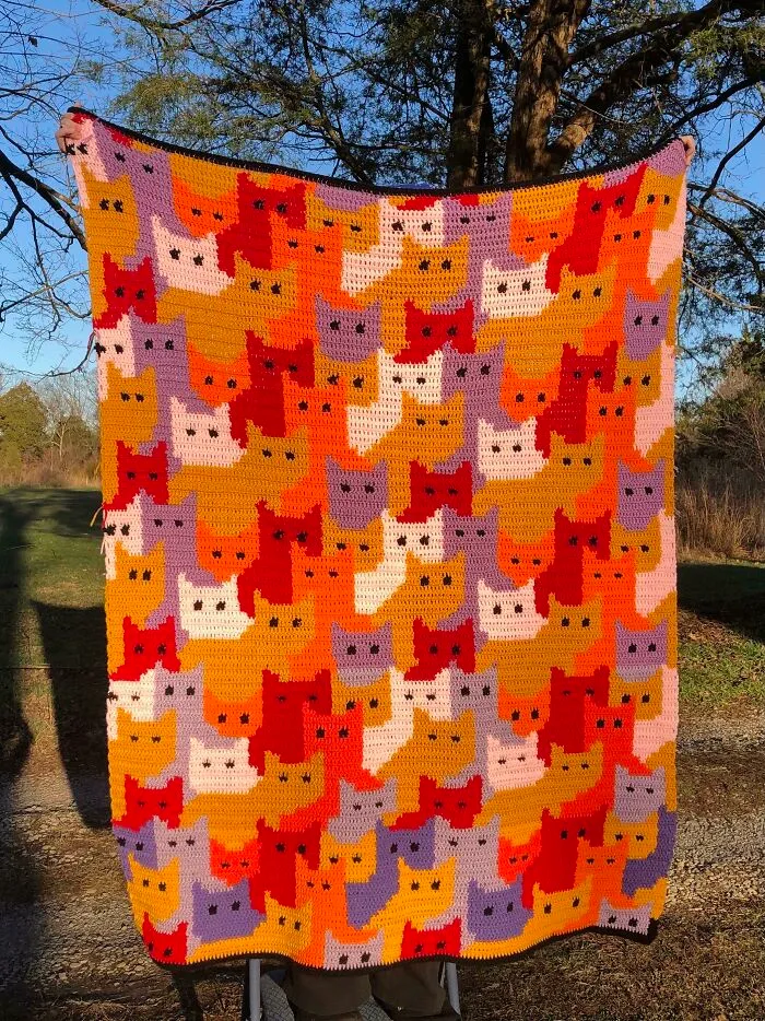 ¡Finalmente terminé esta manta de gatos de color de la puesta del sol!
