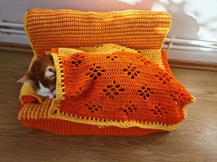Mi mamá me hizo un sofá de gatitos