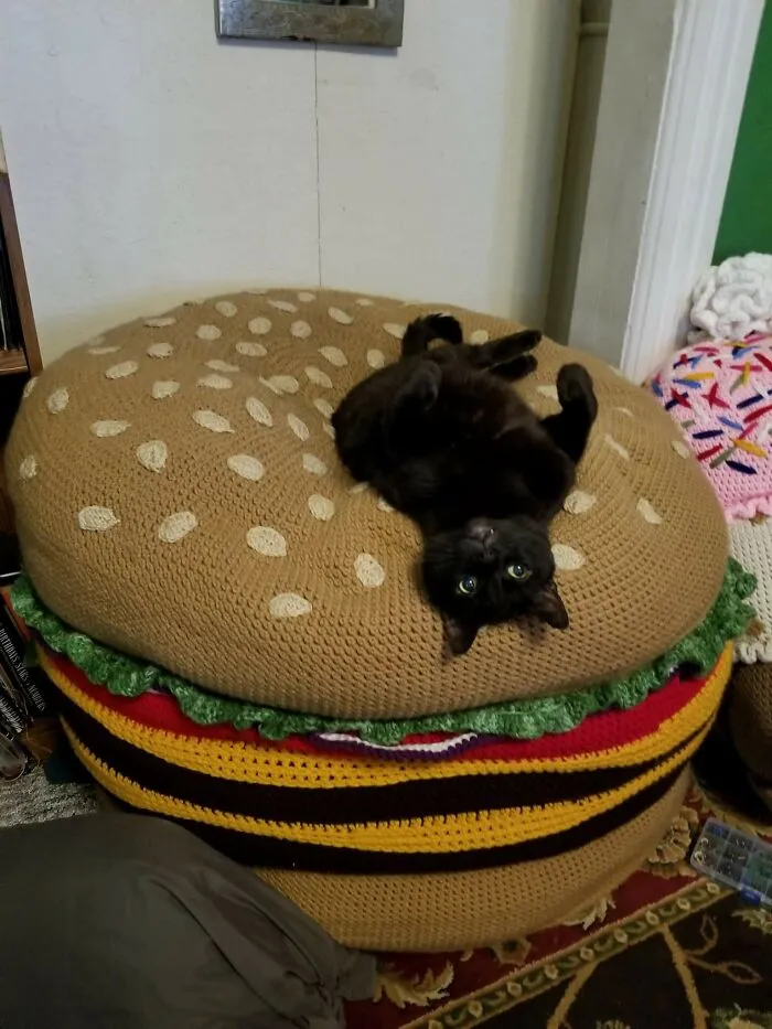 He tejido una hamburguesa con queso y a mi gato le encanta