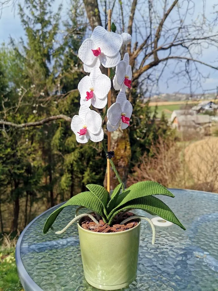 Hice una orquídea a ganchillo