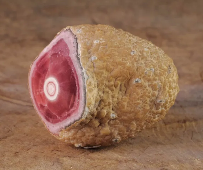Forbidden Ham