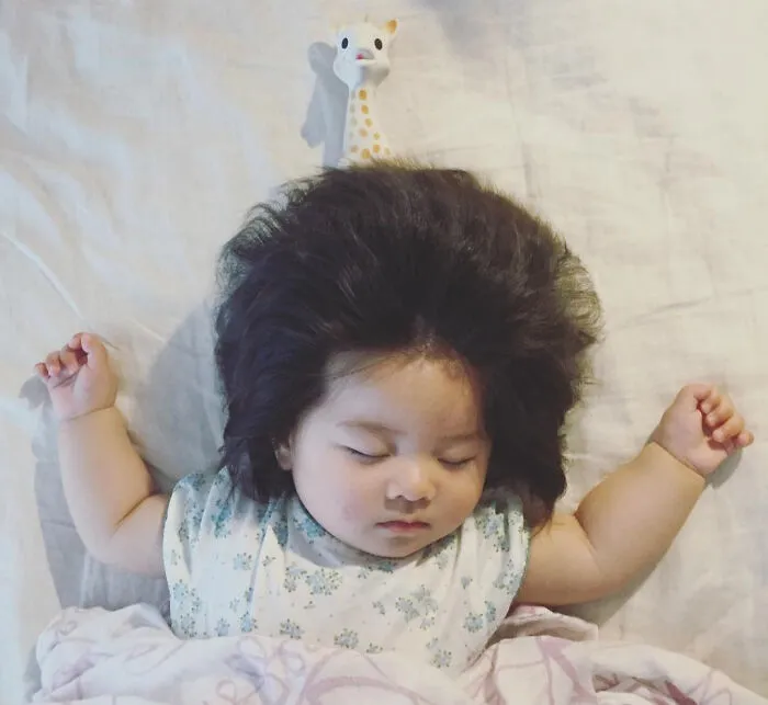 Chanco nació con muchísimo pelo que no paraba de crecer. Esta es ella a los 7 meses